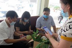 Đưa nông sản lên sàn thương mại điện tử