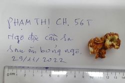 Ăn bỏng ngô, người phụ nữ ở Hà Nội bị ngộ độc cần sa