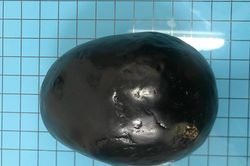 Khởi tố 5 kẻ lừa bán 'cục đá hủy sắt' để chiếm đoạt 500 triệu đồng