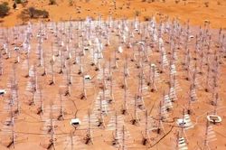 Kính thiên văn vô tuyến lớn nhất thế giới bắt đầu được xây dựng tại Australia và Nam Phi