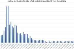 Khối ngoại đẩy mạnh mở tài khoản chứng khoán, cá nhân trong nước ngày càng hạn chế
