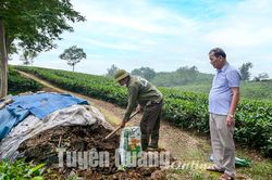 Người biến rác thải thành sản phẩm hữu cơ