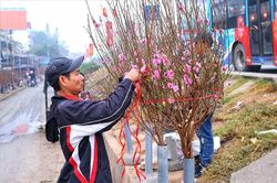 Bộ Lao động - Thương binh và Xã hội thông báo phương án nghỉ Tết Nguyên đán 2023