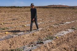 Cuộc chiến nguồn nước của nông dân Morocco