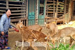Làm giàu không kể tuổi