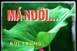 Má nuôi