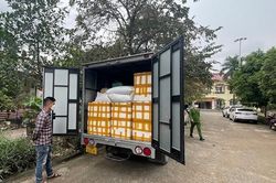 1,5 tấn sản phẩm động vật đông lạnh không giấy tờ kiểm dịch bị tạm giữ