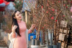 Say đắm vẻ đẹp thiếu nữ Hà Thành bên hoa đào Nhật Tân nở sớm
