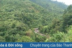 Câu chuyện 'núc nác' và 'vàng tâm'