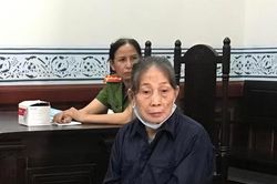 Làm giả 16 sổ hồng nhà đất mang đi lừa hàng chục tỷ đồng