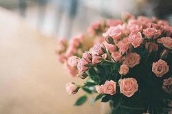 Những người không thích chia sẻ lên mạng xã hội, họ thường không đơn giản