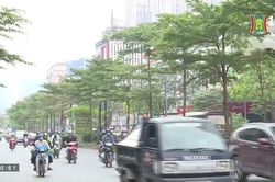 Quy hoạch cây xanh đô thị cần tính toán kỹ