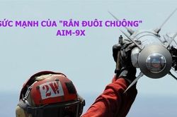Sức mạnh của 'rắn đuôi chuông' AIM-9X