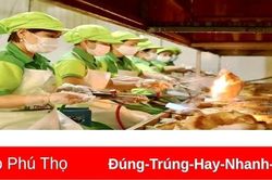 Vươn tới thương hiệu OCOP bốn sao