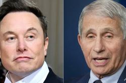 Nhà Trắng tên tiếng khi Elon Musk kêu gọi truy tố chuyên gia chống dịch Fauci