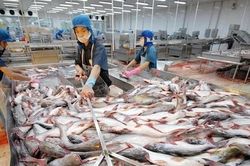 Cá tra xuất sang Trung Quốc đang tăng vọt đột ngột lao dốc