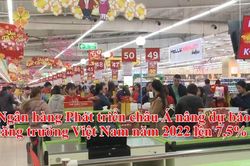 Ngân hàng Phát triển châu Á nâng dự báo tăng trưởng Việt Nam năm 2022 lên 7,5%