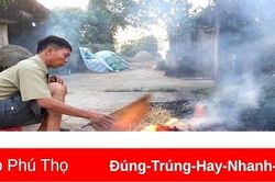 Săn chuột đồng