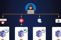 Bùng nổ lừa đảo tài chính online, tin nhắn giả mạo tại Việt Nam