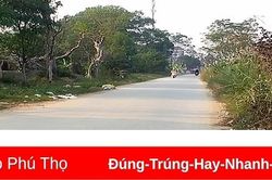 Tình trạng vứt rác bừa bãi ra đường trong Khu công nghiệp Cẩm Khê