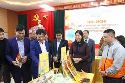 Hà Nội: Đánh giá, phân hạng 70 sản phẩm tham gia OCOP