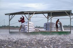 Cận cảnh 'thủ phủ' cá tra trăm triệu USD ở miền Tây