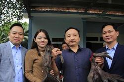Cận cảnh cặp nhung nai 'khủng' nhất Việt Nam được bán với giá hàng trăm triệu đồng