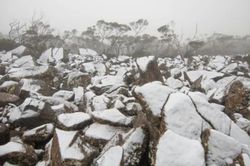 Mùa hè phủ trắng tuyết ở Australia
