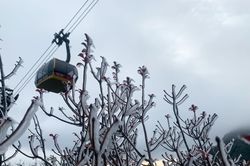 Băng giá phủ trắng trên cung đường lên đỉnh Fansipan
