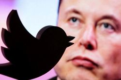 Elon Musk hỏi người dùng có nên từ chức sếp Twitter hay không