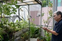 Điều kỳ diệu của một bệnh nhân ung thư phổi