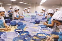 Xuất-nhập nông phẩm Việt có đáng lo?