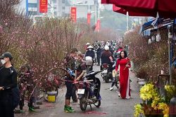Hà Nội sẽ tổ chức 91 điểm chợ hoa phục vụ Tết Nguyên đán Quý Mão 2023