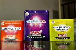 Loạn giá pháo hoa Z121