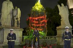 Những cây thông Noel thân thiện môi trường