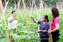 Gánh trọn 'ba vai'