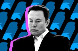 Mớ hỗn độn của Elon Musk tại Twitter