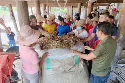 Đào tạo nghề nâng cao chất lượng nhân lực nông thôn