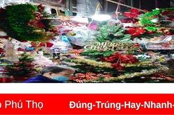 Việt Trì: Những điểm chụp hình đẹp dịp Giáng sinh
