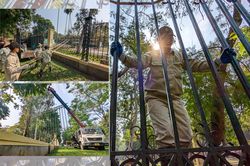 Hà Nội: Tháo dỡ hàng rào sắt công viên Thống Nhất sau 60 năm hoạt động