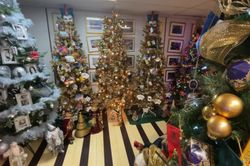 Cặp vợ chồng trang hoàng 133 cây thông Noel khắp nhà đón Giáng sinh