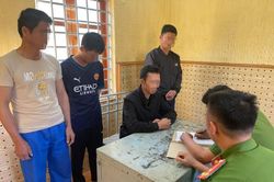 Đắk Lắk: Triệt phá đường dây trồng, tàng trữ, mua bán cần sa liên tỉnh quy mô lớn