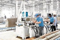 Gỗ An Cường (ACG): Lợi nhuận cả năm 'gần như chắc chắn' đạt 600 tỷ đồng