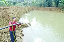 Nuôi cá - hướng phát triển kinh tế hiệu quả của nông dân Bát Xát