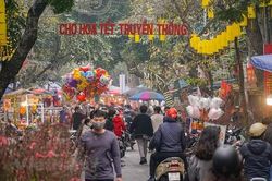 Hà Nội cấm đường trên nhiều tuyến phố để mở chợ hoa Tết