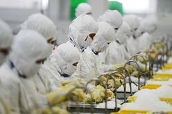 Việt Nam xuất siêu năm thứ 7 liên tiếp