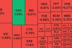 Nhà đầu tư 'xả hàng' trong tuyệt vọng, VN Index mất mốc 1.000 điểm