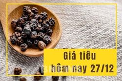 Giá tiêu hôm nay 27/12: Chưa có diễn biến mới