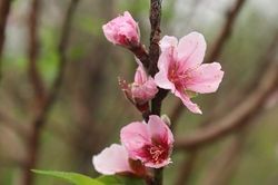 Tết Dương lịch 2023, người lao động được nghỉ như thế nào?