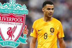 Cody Gakpo lật kèo MU, bất ngờ gia nhập Liverpool